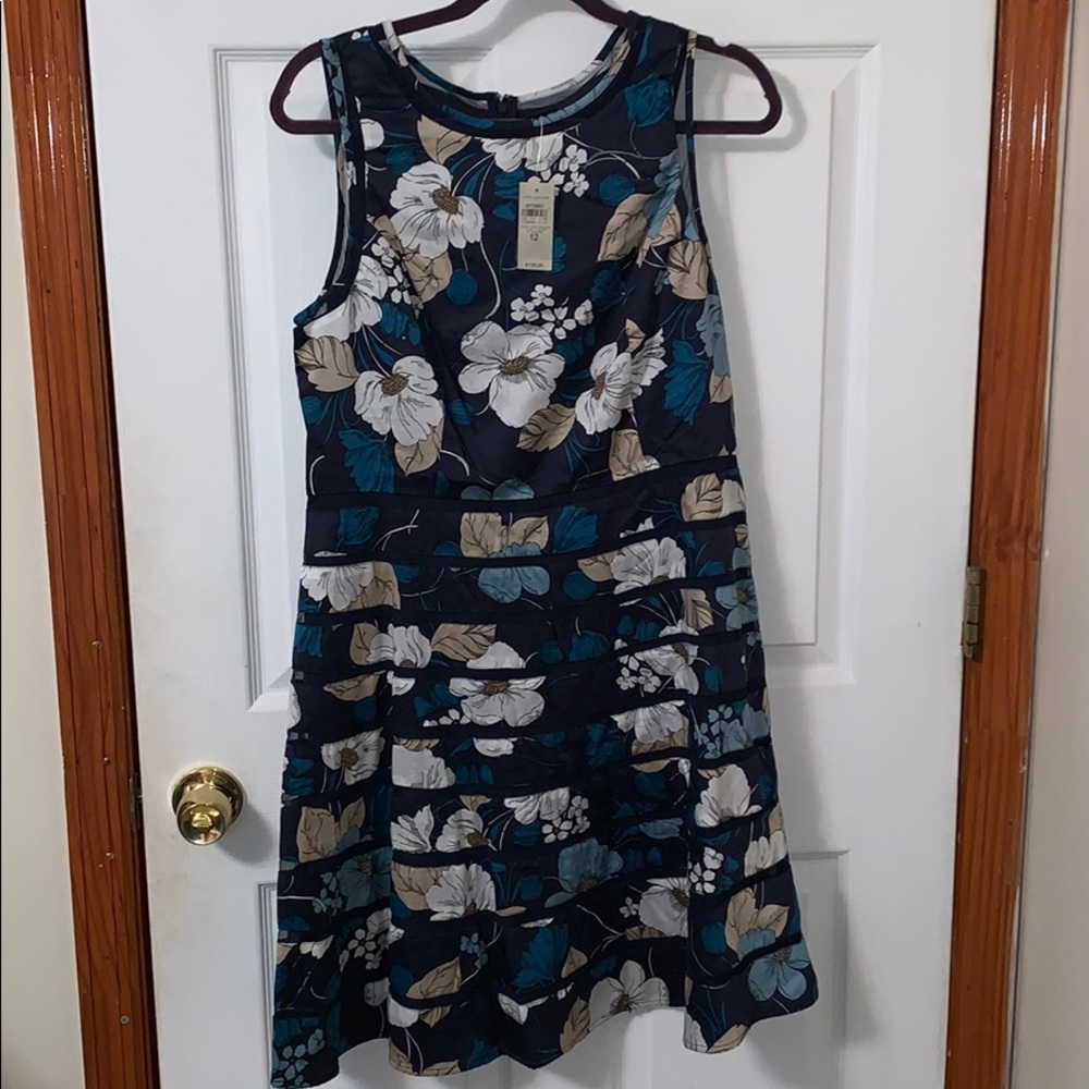 Ann Taylor dress